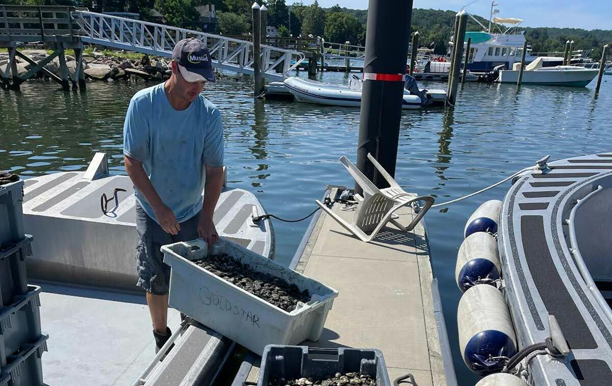 The Northport FLUPSY program, led by Marine Resource Specialist with Cornell Cooperative Extension Barry Udelson, has allowed for the release of approximately 225,000 Eastern oysters in Northport Harbor.