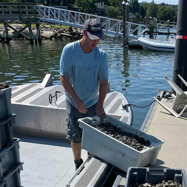 The Northport FLUPSY program, led by Marine Resource Specialist with Cornell Cooperative Extension Barry Udelson, has allowed for the release of approximately 225,000 Eastern oysters in Northport Harbor.