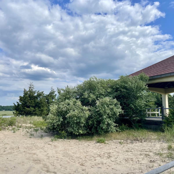 The NENDATF is asking for the community&#39;s help in reporting misuse of the area just beyond the gazebo at Crab Meadow Beach. Members of the task force say the area, in the southeast corner of the parking lot, is a popular hangout for drinking and hard drug use among youth. 