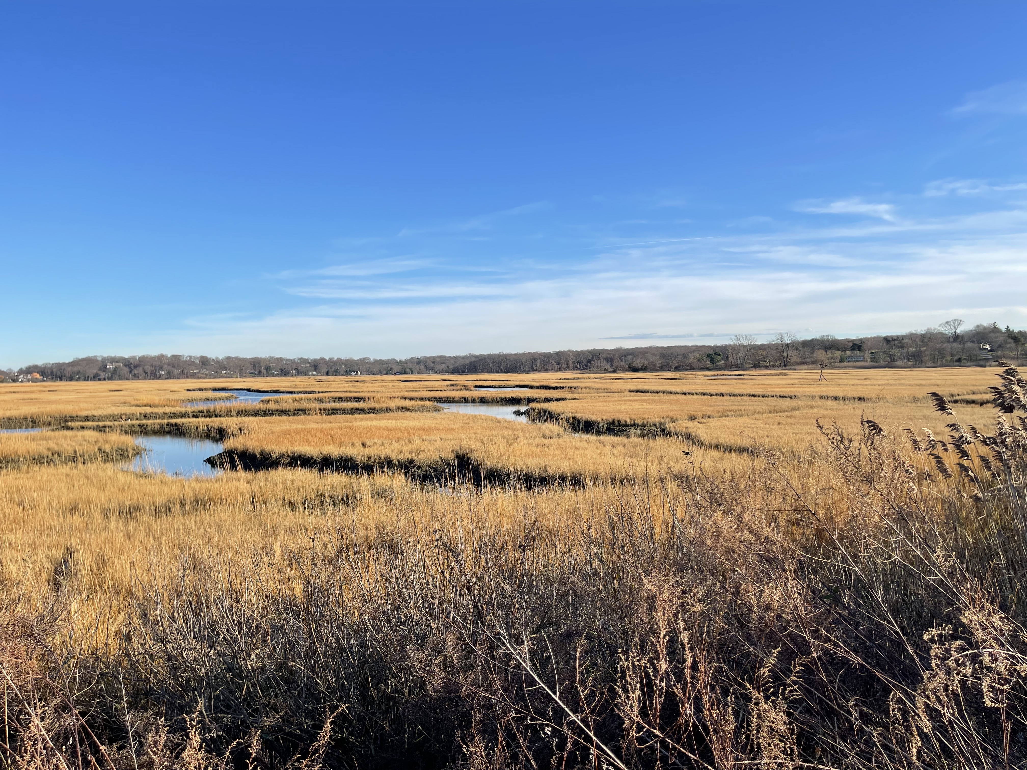 $429,000 in funds will be used for habitat restoration and to help combat the deterioration of the Crab Meadow watershed in Northport. 