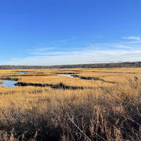 $429,000 in funds will be used for habitat restoration and to help combat the deterioration of the Crab Meadow watershed in Northport. 