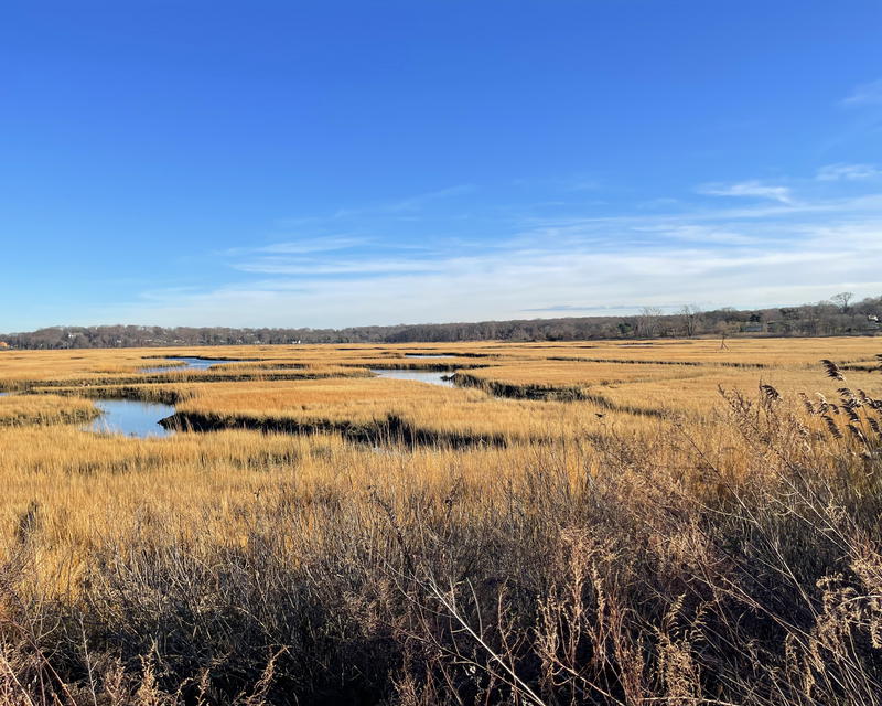 $429,000 in funds will be used for habitat restoration and to help combat the deterioration of the Crab Meadow watershed in Northport. 