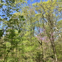 Just one of the many views along the Knolls Park walking trails in East Northport.