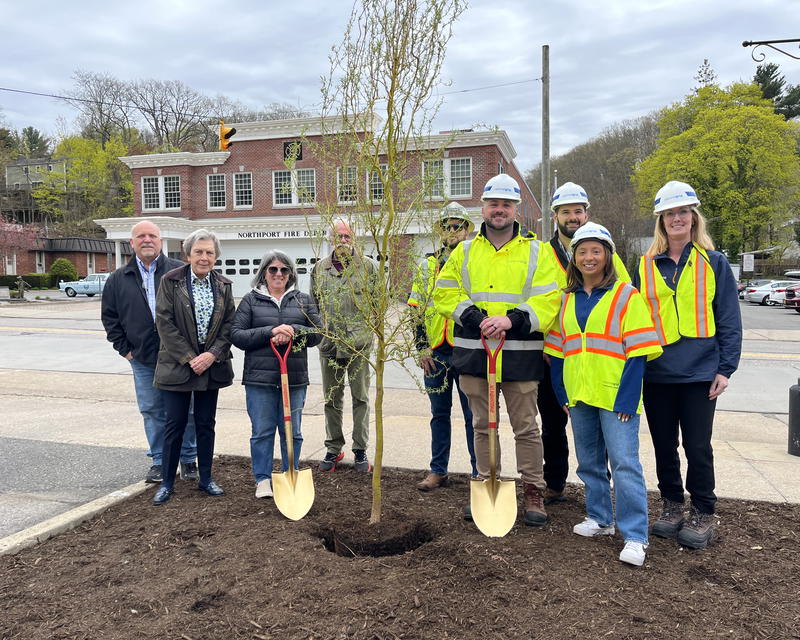 From left: Village Administrator Roland Buzard, Asharoken Deputy Mayor Pam Pierce, Northport Village Mayor Donna Koch, and Northport Trustee Rich Boziwick joined the National Grid team to plant the first of 15 weeping willows donated to the Village by National Grid following a major pipeline replacement project.