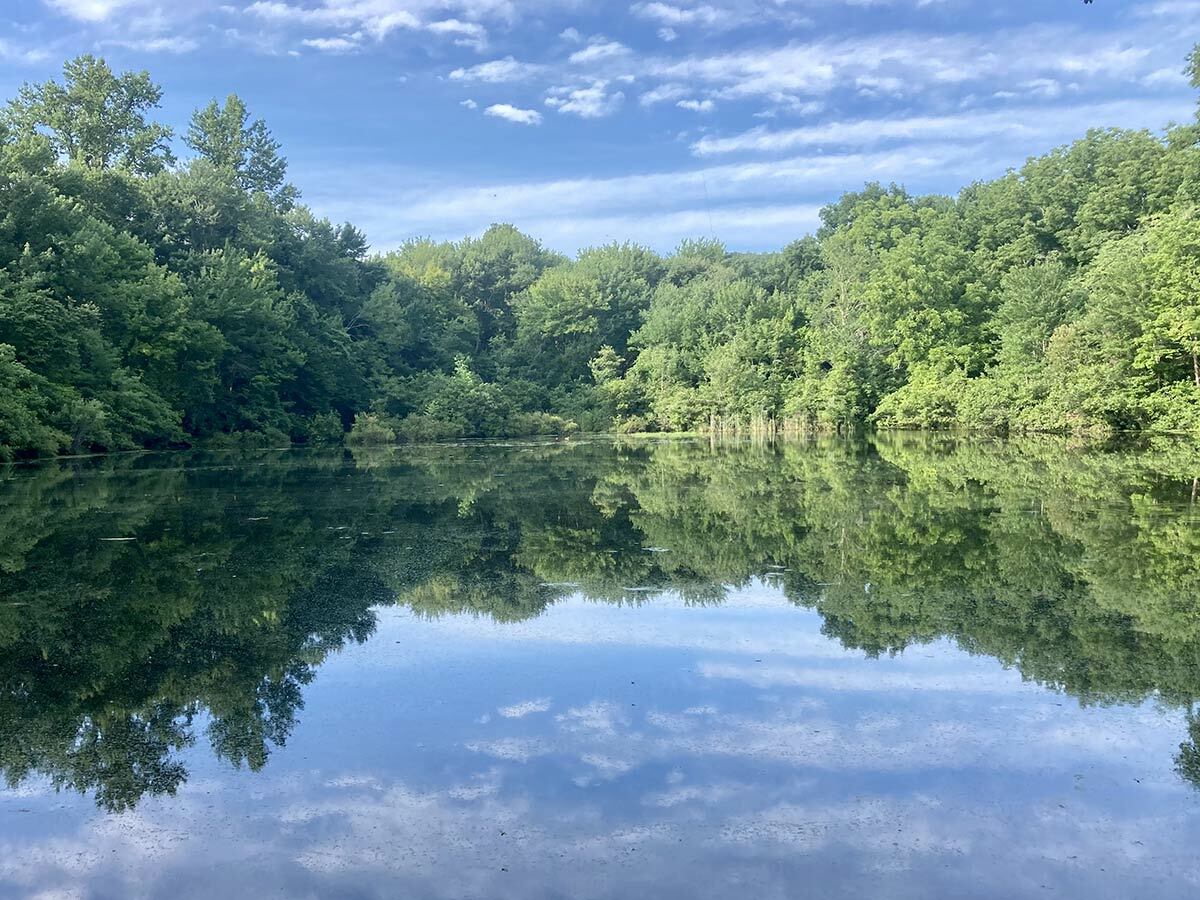 Walks In The Woods: Betty Allen Nature Preserve 