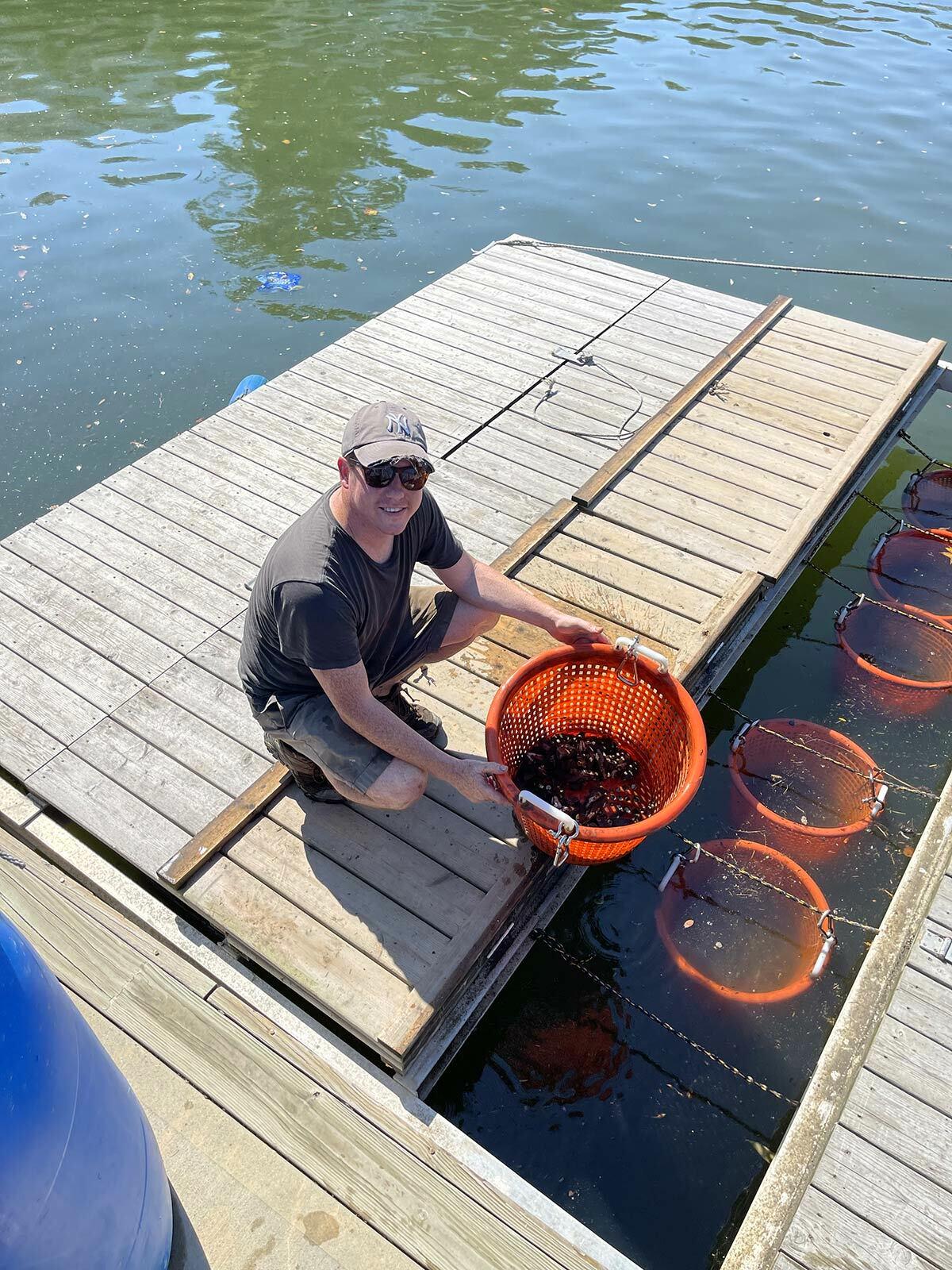 On-site supervisor Sean Tamaro shows off the ribbed mussels at Woodbine Marina, which will be tested for potential use as animal feed in the future.