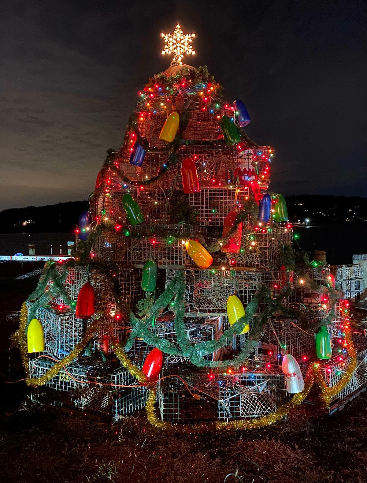 The much-lauded lobster trap tree at night. Photograph by Lauren Pluchino.