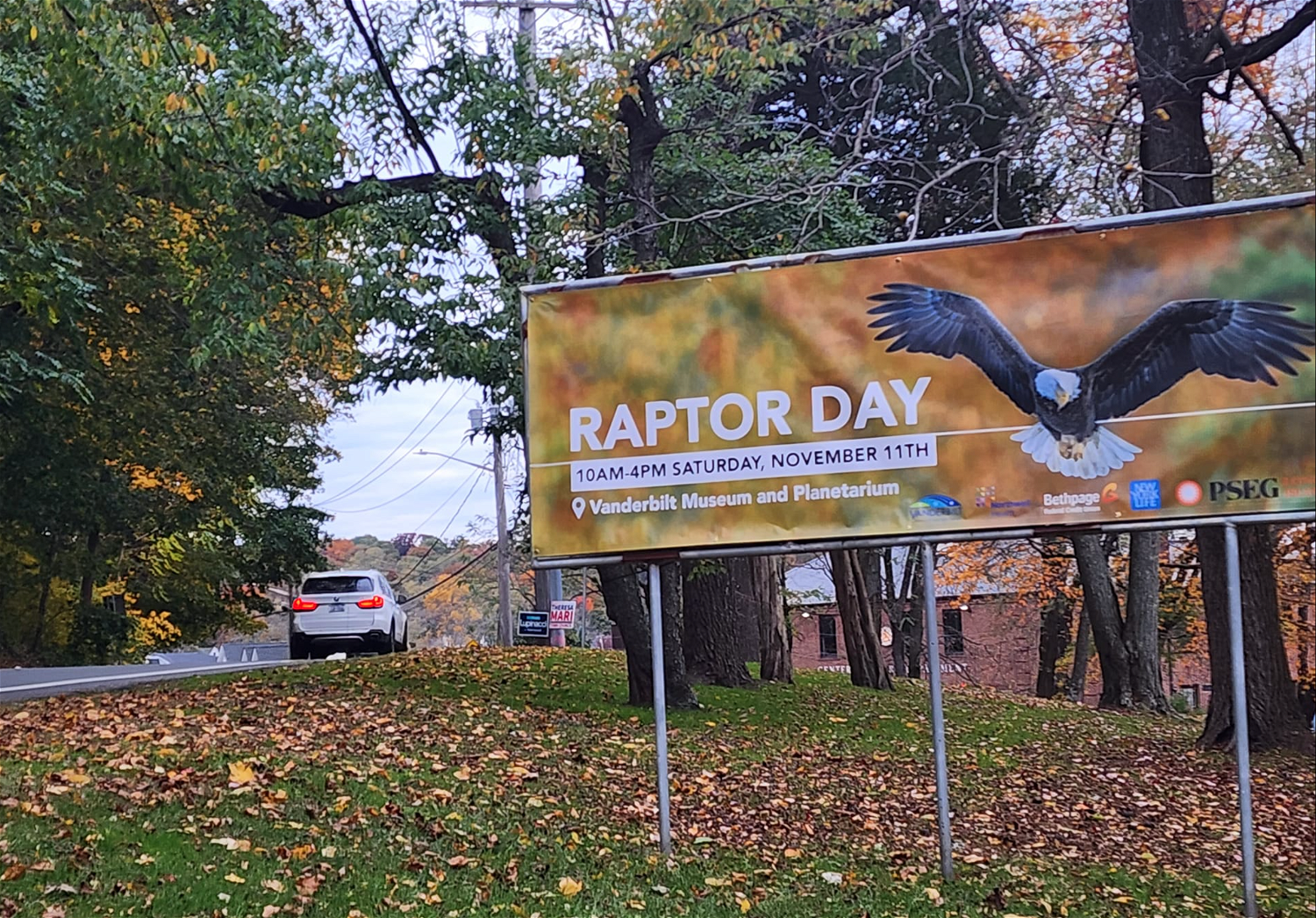 The Suffolk County Vanderbilt Museum will hold its annual Raptor Day on Saturday, November 11 at the Vanderbilt Museum property in Centerport. Photo courtesy Bald Eagles of Centerport. 