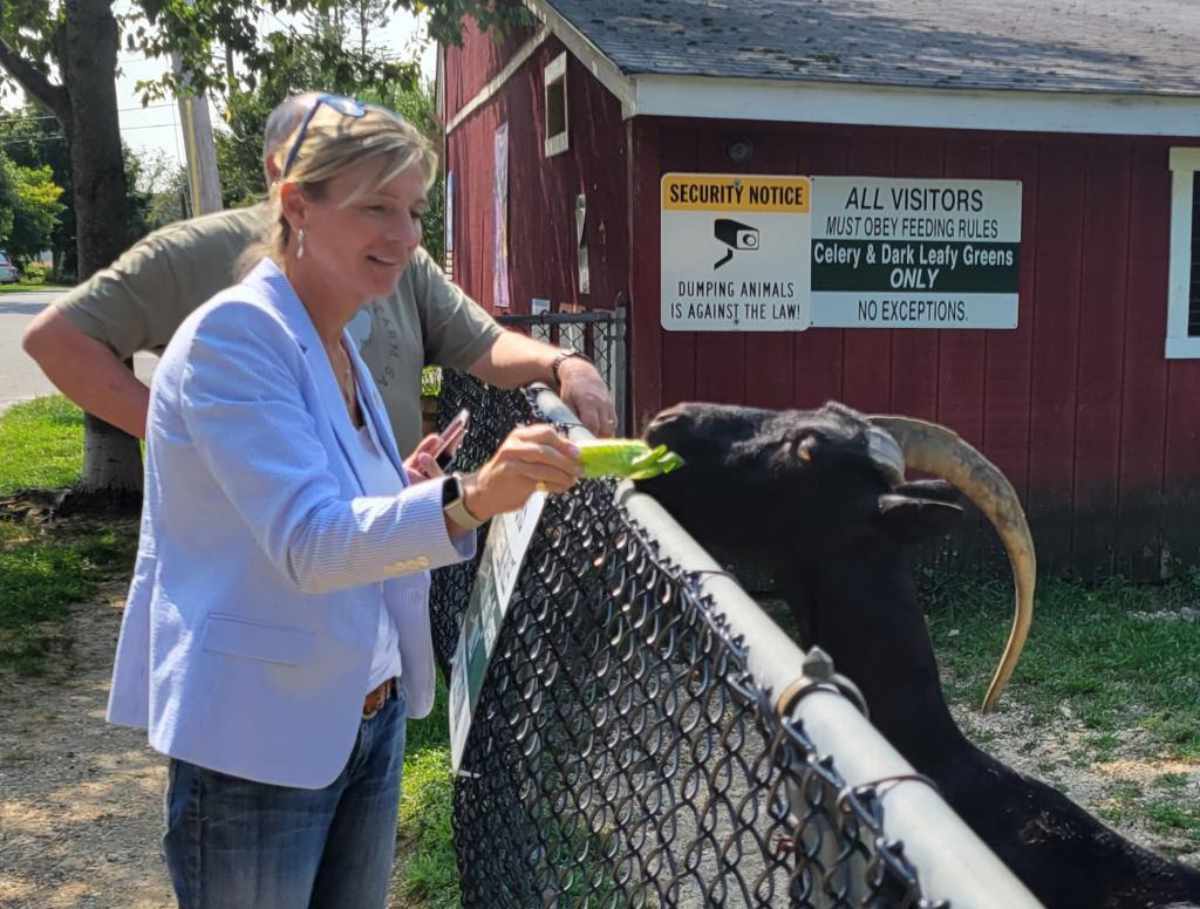 Suffolk County Legislator Stephanie Bontempi feeding a goat at Lewis Oliver Farm. Photo courtesy the Town of Huntington.