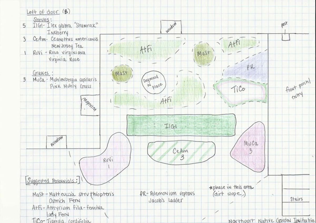 Preliminary plans created by the NNGI on native plantings and placement for Village Hall.