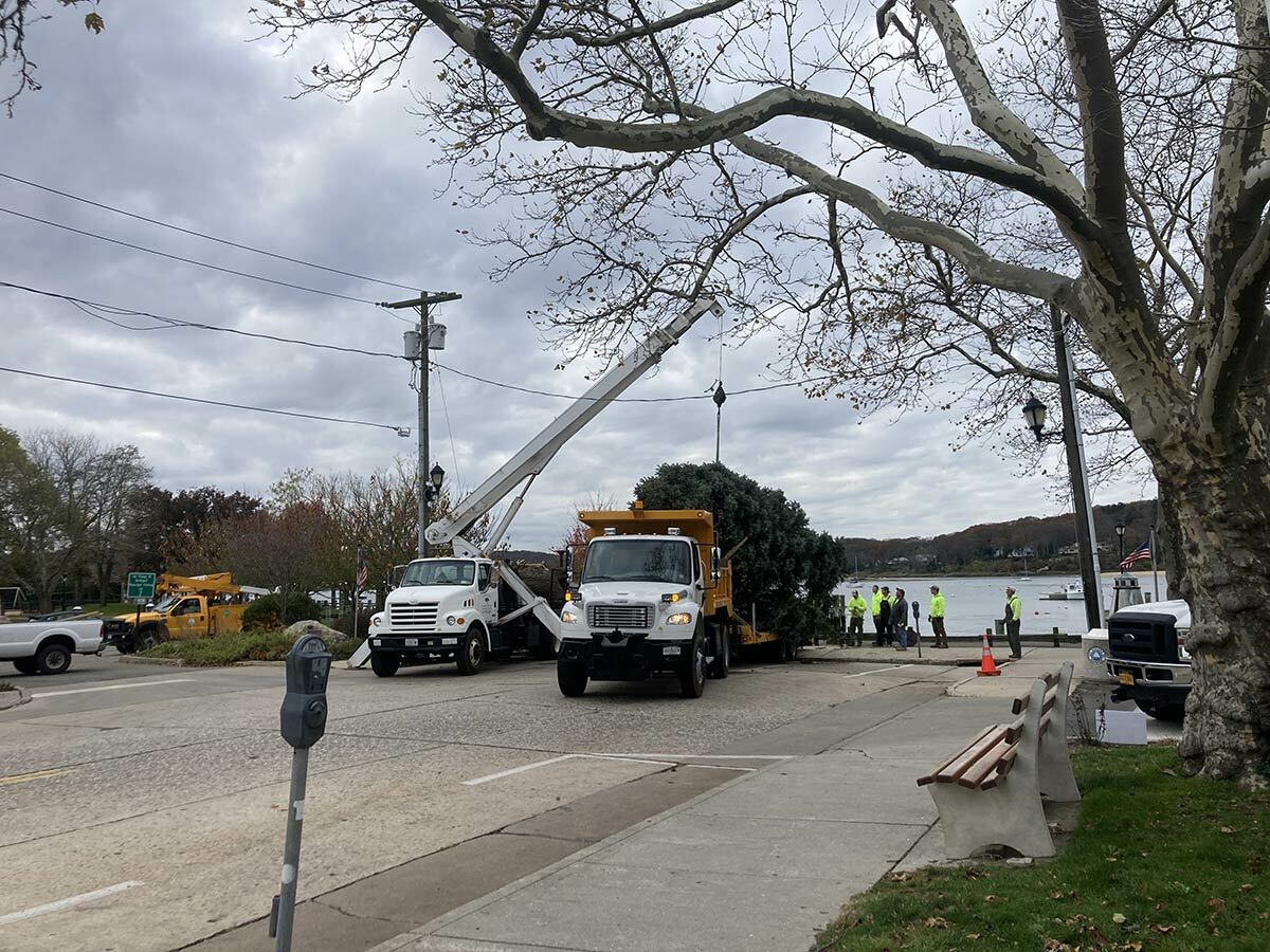 The Northport Village Christmas Tree, seen here mid-installation, made its way from Franklin to Main Street on Tuesday, November 15.